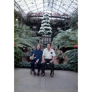 Man and woman sit in a greenhouse at Philadelphia's Longwood Gardens