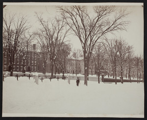 Brown University Campus Front Green in the Winter, Providence, R.I., 1881