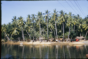 Keralan village near the water