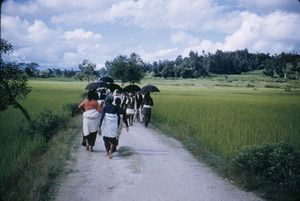 People walking in valley