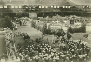 Horticultural Shows