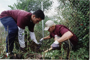 Students working during Humanics in Action Day (1998)