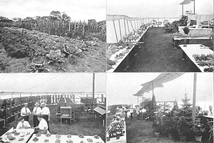 Employees' gardens and competitive exhibition