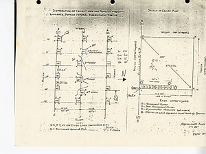 Distribution of Cruise Lines and Plots of the Lawrence Hopkins Memorial Experimental Forest