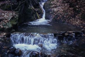 Diana's Bath pool on South Branch Birch Brook.
