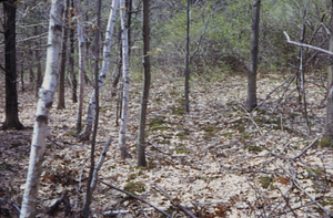 Old Road to Blacksmith Shop from Northwest Hill Road to Ford Glen Area.