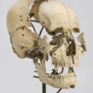 Beauchene skull, mounted