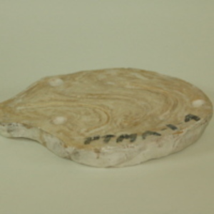 Dickinson-Belskie partial mold of vas deferens, 1939-1950