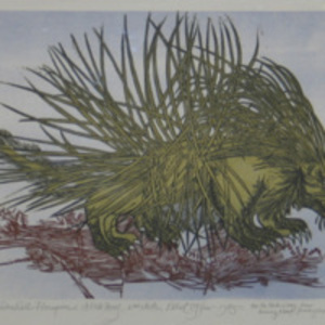 Mendenhall Porcupine