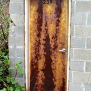 Beautiful rust patterns on this abandoned building's door