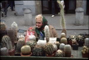 Cactus seller