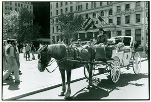 Carriage driver in the street