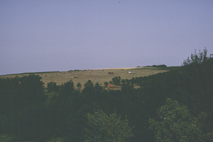 Haying in the fields of Orašac