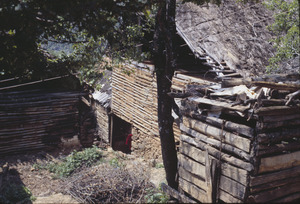 Livestock shed in Volce