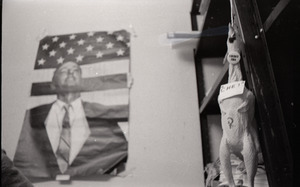Young Americans for Freedom (YAF) office: rubber chicken hanging in front of poster of William F. Buckley