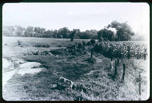 Saugus