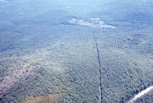 Aerial oblique view east along Long-distance Telephone line cut to Bernardy's Farm on 2 Sept 1971.