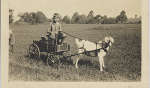 Art G. Rosenburg in goat cart