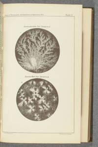 [Heliolithogravure plates of microscopic photographs in Report of the secretary of agriculture, 1893]