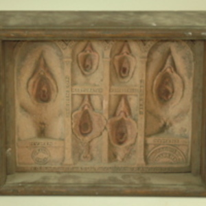 Dickinson-Belskie framed model of forms of adult vulvas, 1945