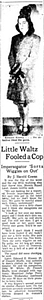 Little Waltz Fooled a Cop