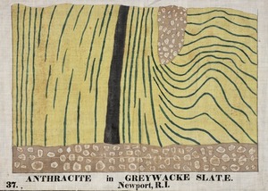 Orra White Hitchcock drawing of anthracite in greywacke slate, Newport, Rhode Island