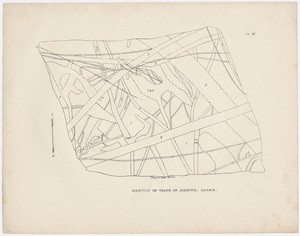 Plate, "Sketch of veins in sienite, Salem," 1841