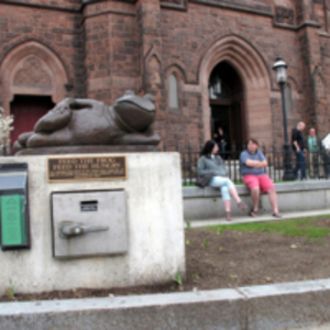 "Feed the Frog" donation box
