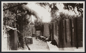 Interior view of a duck blind in Ponkapoag, Canton, Mass., undated