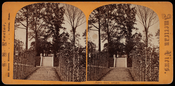 Stereograph, Potter's Grove, Arlington, Mass.