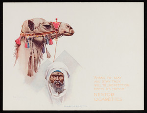 Trade card for Nestor Cigarettes, man with camel wearing a decorated head collar, Nestor Gianaclis Company, Cairo, Boston, London, 1899