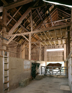 Barn interior with horse, Cogswell's Grant, Essex, Mass.