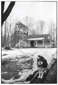 One-room schoolhouse with two dogs in front in Ulster County