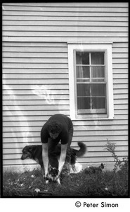 Harry Saxman with commune dogs (cat in background), Montague Farm commune