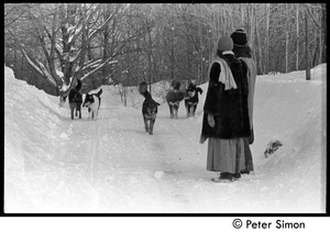 Catherine Blinder, Elliot Blinder, Marcia Braun, and dogs walking down a snowy road, Tree Frog Farm commune