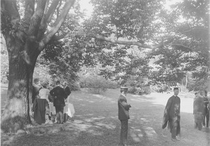 Alumni congregating in Rhododendron Garden