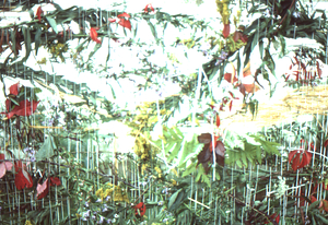 Live plant woven tapestry at Hopkins Forest Fall Harvest Festival.