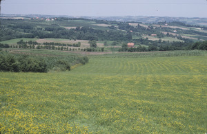 Orašac meadows