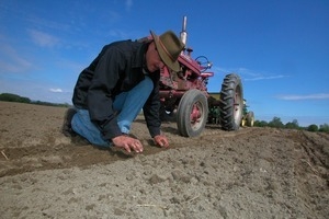 Lazy Acres Farm (Zuchowski Farm): Allan Zuchowski inspecting the soil in a corn field