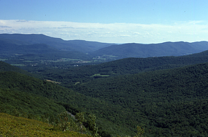 Color image of Mt. Greylock to Brodie Mountain Ridge from permanent plot 1205. False Color Infrared/True Color Project.