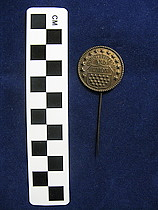 Bronze Pin