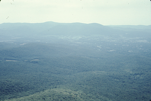Aerial oblique view of North and Middle Branches of Birch Brook on2 Sept 1971.