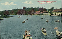 View on the Charles River, at Norumbega Park, Mass.
