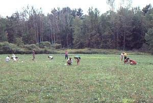 BIOL 201 - Ecology "Grasshopper Population Estimates" lab.