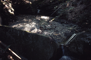 Ponding Basin, South Branch Birch Brook.