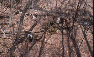 ENVI 102 - Introduction to Environmental Science students inspect damaged Buxton Farms spring house roof hit by fallen trees.