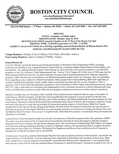 Committee on Public Safety meeting minutes, June 22, 2015