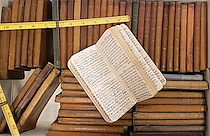 Herbert I. Ordway diaries
