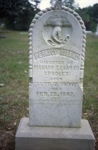 New Prospect Cemetery (Mississippi) gravestone: Robbins, Pernecy (d. 1882)