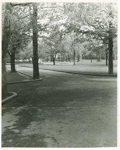 A spring photo of the Springfield College campus